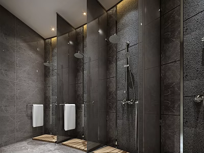 Modern Public Restroom With Dark Tile Walls Stalls And Wooden Pedestals 3d model