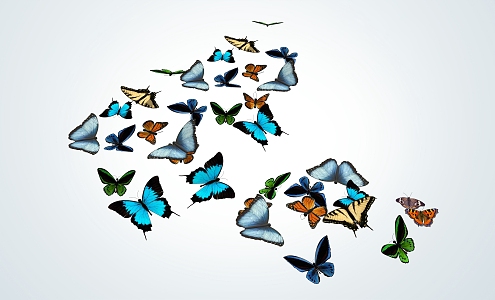 Modern Butterfly Group 3d model