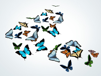 Modern Butterfly Group 3d model