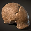 Ancient Fossil Skull With Brown Bone Texture Cracked Surface And Detailed Structure 3d model