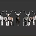 Group of Different Colored Deer With Antlers Standing on White Background