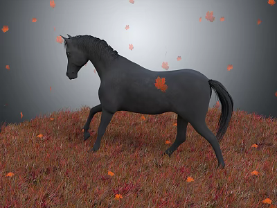 Black Horse Walking on Grassland With Red and Orange Fallen and Falling Leaves 3d model