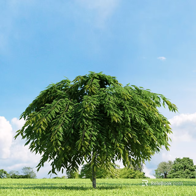Lush Green Arbor With Dense Canopy Fresh Leaves And White Clouds Against Blue Sky 3d model 