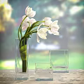 Transparent Glass Vase With White Flowers And Small Clear Containers On Table