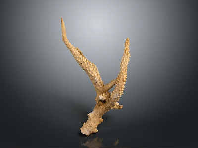 Golden Bird Sculpture With Outstretched Textured Wings And Abstract Design On Dark Background 3d model