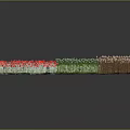 Three Plant Sections Featuring Red Flowers Green Leaves Brown Stems on Brown Soil Dark Background