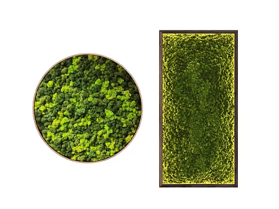 Decorative Indoor Green Plant Wall With Round And Rectangular Frames For Home Decor 3d model