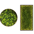 Decorative Indoor Green Plant Wall With Round And Rectangular Frames For Home Decor 3d model