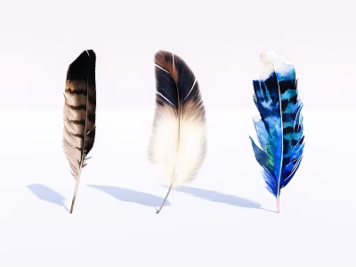 Decorative Feather Ornament Set With Natural And Colorful Design For Home Decor 3d model