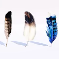 Decorative Feather Ornament Set With Natural And Colorful Design For Home Decor