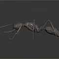 Detailed Metal Ant Sculpture with Intricate Carving and Realistic Design Features