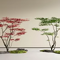 Two Arbor Trees with Red And Green Leaves in Garden Landscape With Moss And Stones