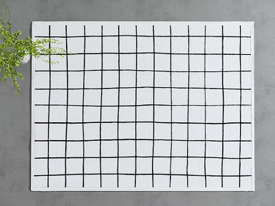 White Base Square Rug With Black Grid Pattern And Green Plant On Floor 3d model