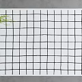 White Base Square Rug With Black Grid Pattern And Green Plant On Floor