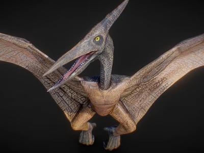 Detailed Pterosaur Model With Open Mouth Extended Wings And Realistic Texture 3d model