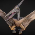 Detailed Pterosaur Model With Open Mouth Extended Wings And Realistic Texture