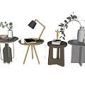 Various Design Side Tables with Plants Table Lamp Books and Vase 3d model