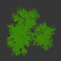 Fruit Laden Arbor Tree With Bright Yellow Fruits And Lush Green Leaves Against Dark Background