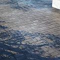 Gray Outdoor Floor Tiles Neatly Arranged With Natural Tree Leaf Shadows