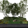 Lush Shrubs with Trees Rocks Green Plants and Colorful Flowers along Stone Pathway