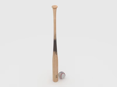 Professional Wooden Baseball Bat Standing Next To Leather Covered Ball Sports Equipment 3d model