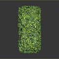 Lush Green Cube Shaped Plant Hedge With Dense Foliage And Trimmed Leaves