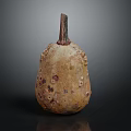 Speckled Bumpy Tan Gourd With Stem As Fresh Organic Food