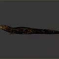 Modern Crocodile Alligator Nile Crocodile carnivore 3d model