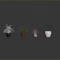 Four Different Plants in Various Colored and Shaped Pots on Grey Background with Reflection