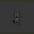 Modern dung beetles 3d model
