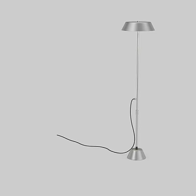 Modern Silver Floor Lamp With Slim Metal Pole Black Power Cord And Stable Base 3d model