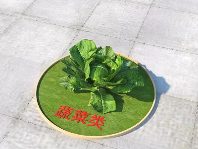 Fresh Green Leafy Vegetables on Circular Wooden Plate with Green Mat on Stone Floor 3d model