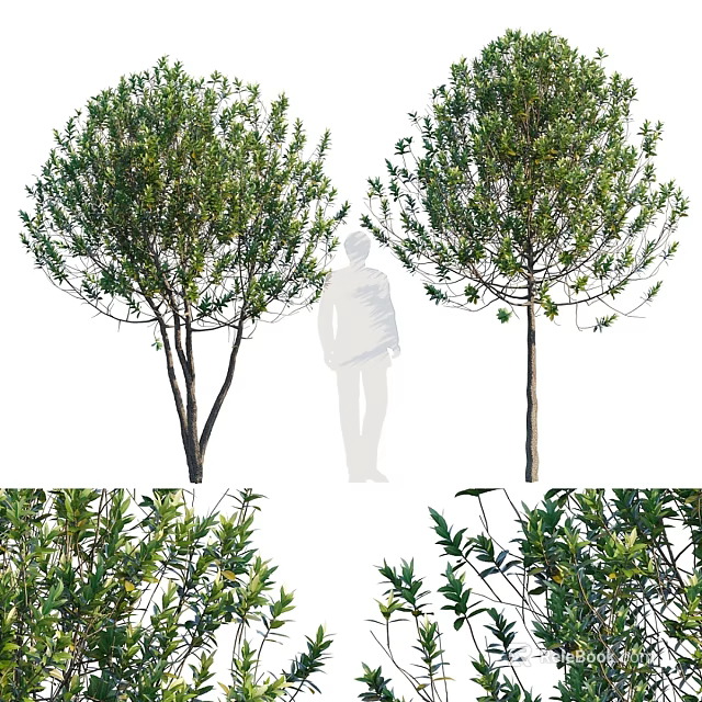 Stylish Decorative Ornament Set With Artificial Green Plants For Home Interior 3d model 