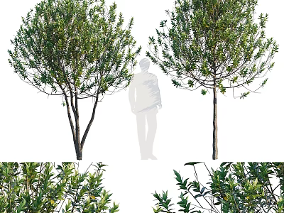 Stylish Decorative Ornament Set With Artificial Green Plants For Home Interior 3d model