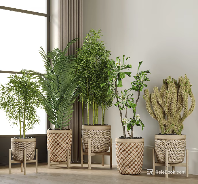 Indoor Various Potted Plants With Woven Planters Palm Bamboo Cactus 3d model 
