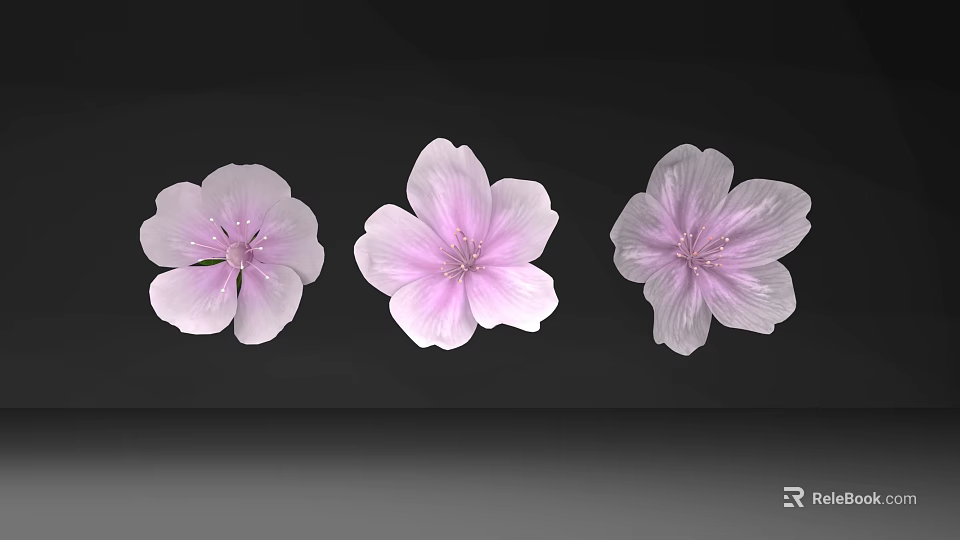 Beautiful Garden With Three Pink Blooming Flowers On Black Background 3d model 