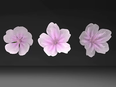 Beautiful Garden With Three Pink Blooming Flowers On Black Background 3d model