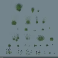 Diverse Grasses and Flowers in Various Heights Shapes and Natural Decorative Tones