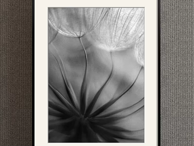 Black and White Dandelion Botanical Painting with Framed Design for Home Wall Art 3d model