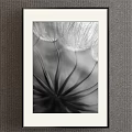 Black and White Dandelion Botanical Painting with Framed Design for Home Wall Art