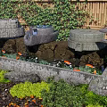 Stone Water Features In Garden With Bamboo Fence Orange Koi Fish And Aquatic Plants