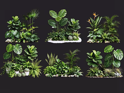 Lush Diverse Ornamental Plant Combinations With Large Leaves Succulents And Ferns 3d model