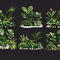 Lush Diverse Ornamental Plant Combinations With Large Leaves Succulents And Ferns