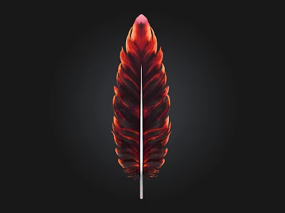 Vibrant Red Orange Feather With Shiny Detailed Texture On Black Background 3d model