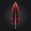 Vibrant Red Orange Feather With Shiny Detailed Texture On Black Background
