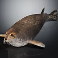 Realistic brown seal with smooth fur and whiskers lying on dark surface