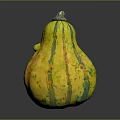 Yellow Green Striped Pear Shaped Decorative Squash With Textured Surface And Green Stem
