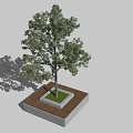 Square Tree Planter With Wooden Border Concrete Base And Green Tree Shadow 3d model