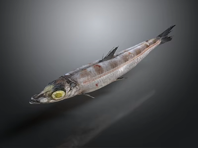Whole Fresh Fish With Yellow Eye And Silver Gray Striped Body On Dark Background 3d model
