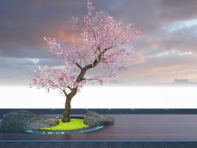 Flowering Arbor With Pink Blossoms Slender Trunk Green Grass And Rocks Against Sunset Sky 3d model